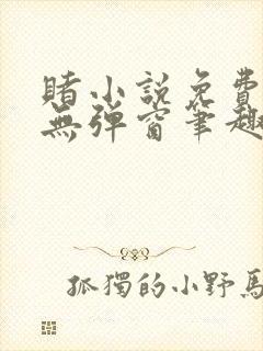 赌小说免费阅读无弹窗笔趣阁封面