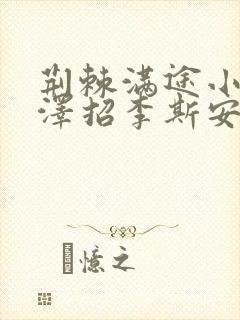 荆棘满途小说李泽招李斯安封面