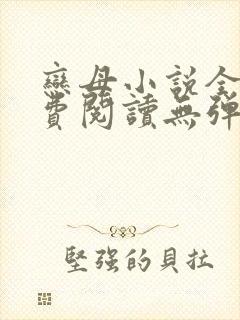 恋母小说全文免费阅读无弹窗笔趣阁封面