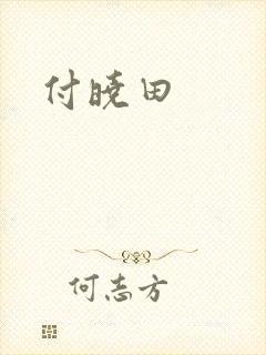 付晓田封面