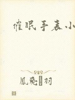 催眠手表小说封面