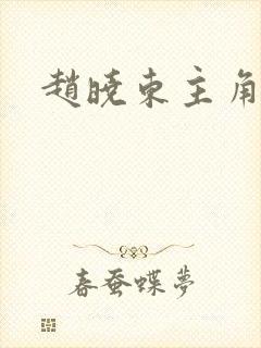 赵晓东主角小说