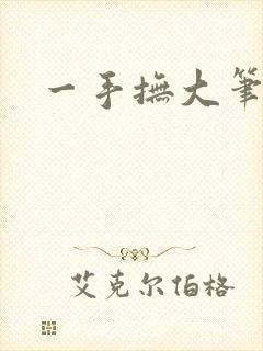 一手抚大笔趣阁封面