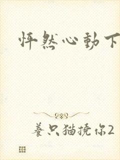 怦然心动下载