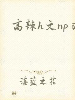 高辣h文np爽