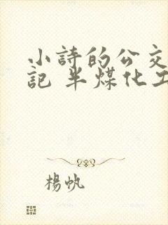 小诗的公交车日记 半煤化工