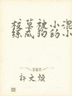 校草被小混混训练成狗的小说