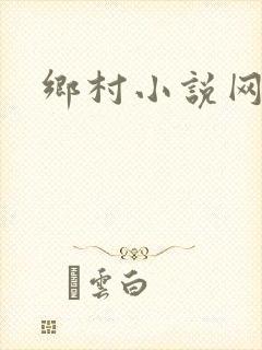 乡村小说网封面
