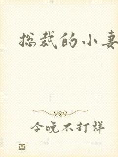 总裁的小妻子
