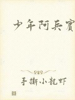 少年阿兵宾封面