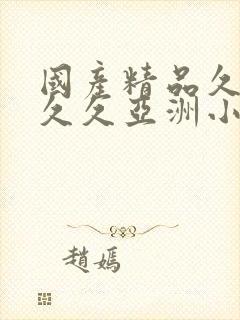 国产精品久久久久久亚洲小说