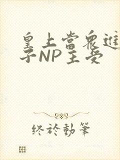 皇上当众进入太子NP主受