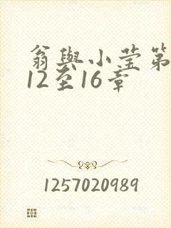 翁与小莹第十部12至16章封面