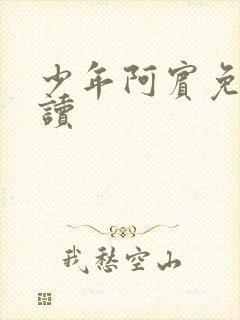 少年阿宾免费阅读封面