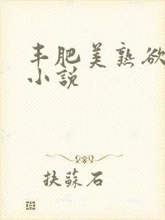 丰肥美熟欲妇乱小说