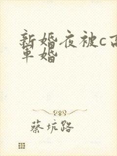 新婚夜被c高h军婚