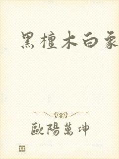 黑檀木白象牙封面