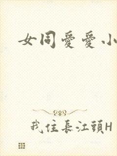 女同爱爱小说封面