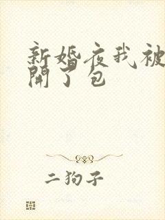 新婚夜我被伴郎开了包