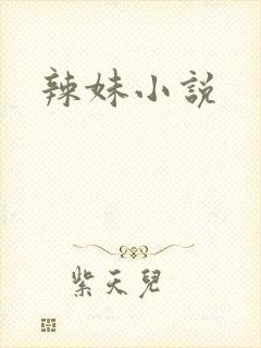 辣妹小说