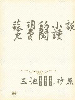 苏玥的小说全文免费阅读