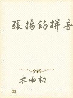 张扬的拼音封面