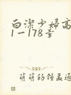 白洁少妇高义第1一178章
