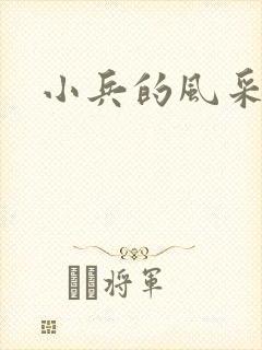 小兵的风采封面