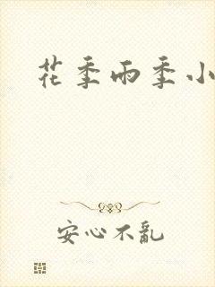 花季雨季小说封面