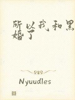 所以我和黑粉结婚了