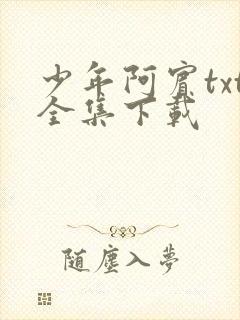 少年阿宾txt全集下载