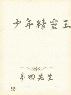 少年精灵王