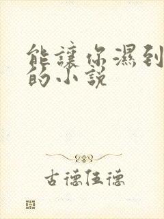 能让你湿到不行的小说封面