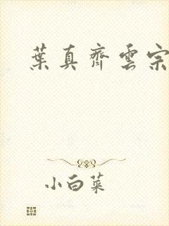 叶真齐云宗免费