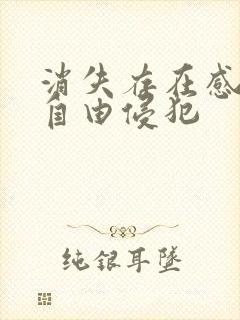 消失存在感消失自由侵犯