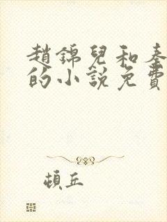 赵锦儿和秦慕修的小说免费阅读全文