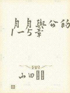 月月与公的激情1一5章