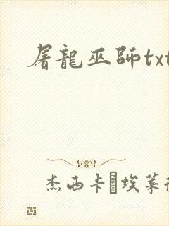 屠龙巫师txt