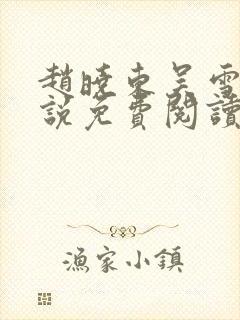 赵晓东吴雪晴小说免费阅读封面