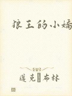 狼王的小娇妻封面