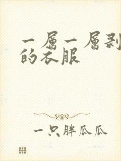 一层一层剥开你的衣服