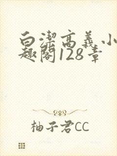 白洁高义小说笔趣阁128章封面