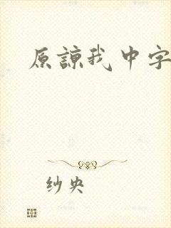 原谅我中字封面