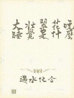 大壮翠花晚上不睡觉是什么电视剧