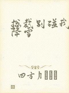 总裁别碰我 韩降雪