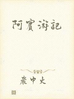 阿宾游记