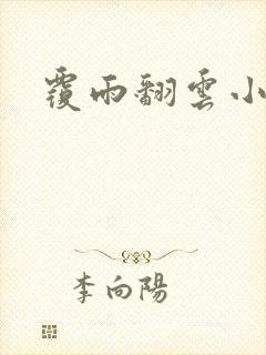 覆雨翻云小说封面