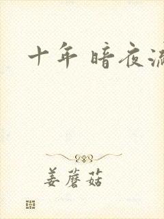 十年 暗夜流光