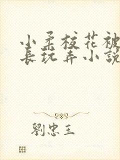 小柔校花被老校长玩弄小说封面