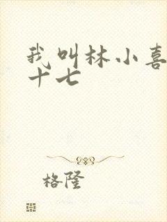 我叫林小喜今年十七